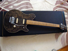 MUSICMAN EVHSig